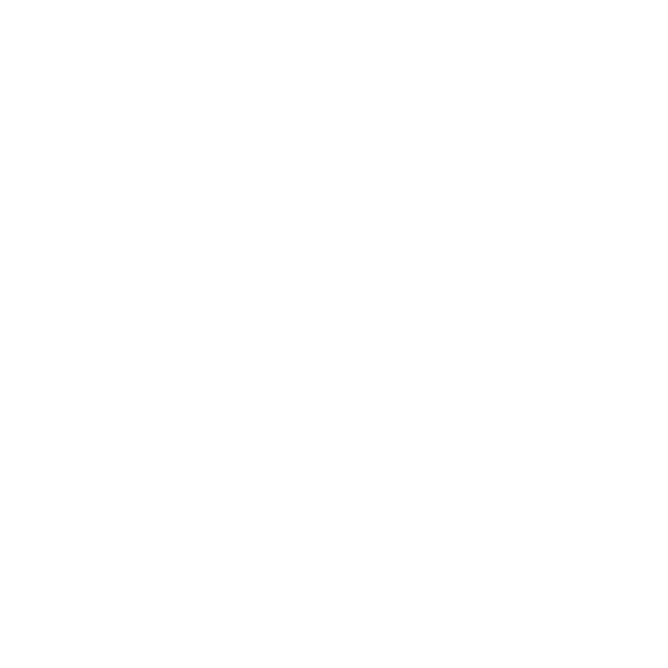 WordPress Logo